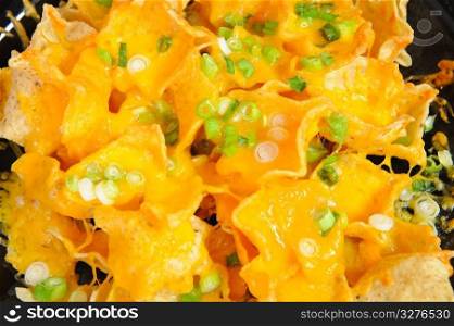 Plate of cheese nachos topped with thin sliced green onion. Nachos