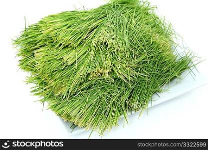 Plate of clean wheatgrass over white.