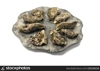 plate of expensive oysters isolated on white background