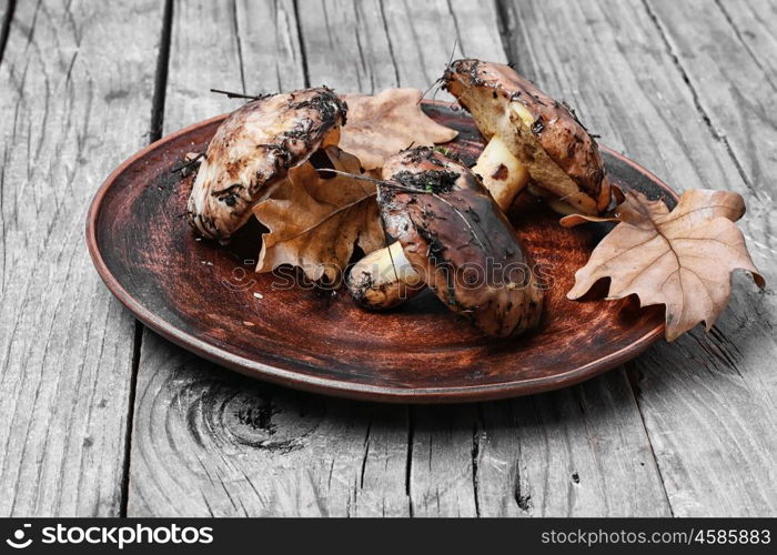 plate of forest mushrooms. Plate collected in the forest boletus mushrooms on a wooden background