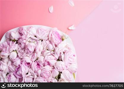 plate of pink fresh fragrance roses around double pink background. romantic and beauty concept . flat lay