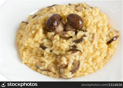 plate of risotto with mushrooms isolated on white