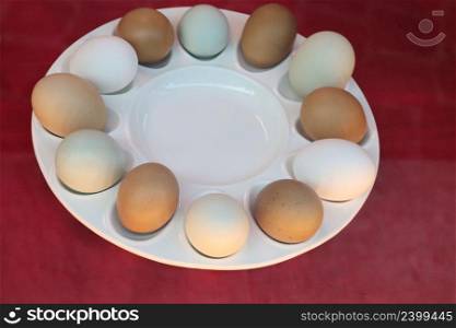plate with boiled eggs of various colors on a set table. plate with boiled eggs of various colors on a set table-