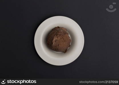 plate with chocolate ice cream