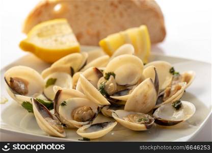plate with clams bulhao pato special sauce tipical portuguese delicacy dish