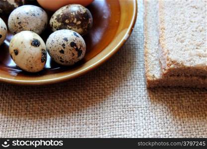 plate with eggs of the quail and piece of bread on the grey sacking background