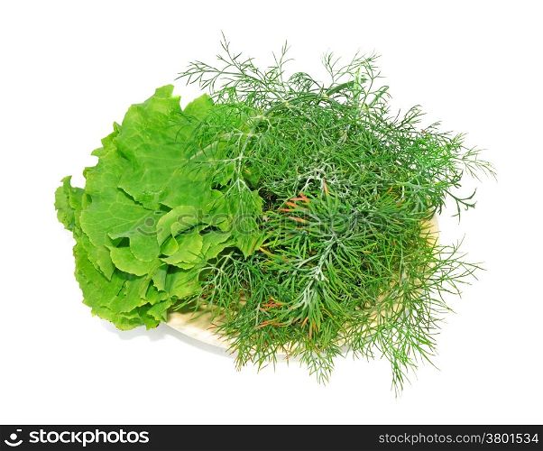 Plate with lettuce and dill isolated