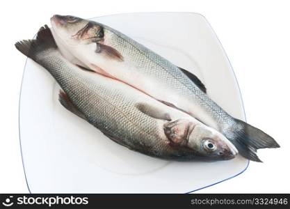plate with two sea bass isolated with clipping path