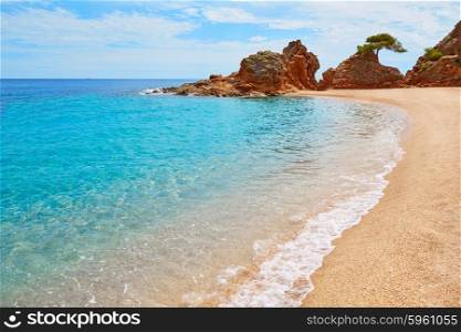 Platja Fenals Fanals Beach in Lloret de Mar at Costa Brava of Catalonia Girona Spain