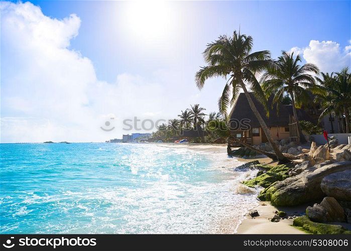 Playa del Carmen beach palm trees in Riviera Maya Caribbean of Mexico