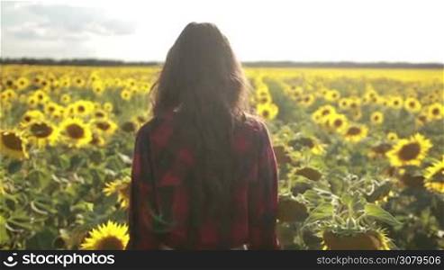 Playful female walking away in sunflower field, turning around and looking at camera with toothy sensual smile over beautiful landscape background. Stunning brunette woman enjoying leisure in field of sunflowers on summer day. Slo mo. Stabilized shot