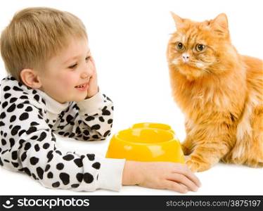 Playful little boy and serious red cat