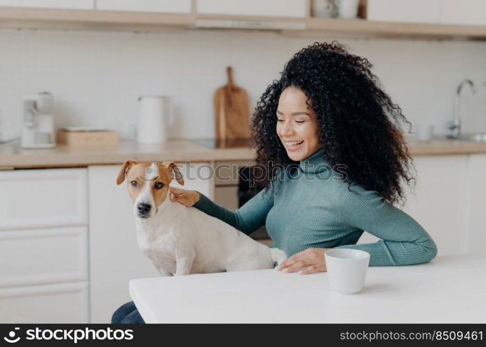 Playful woman with Afro haircut, pets her breed dog, have fun together, pose in cozy kitchen, drink coffee, laugh happily. Young curly lady glad to live with pet, enjoys domestic atmosphere.
