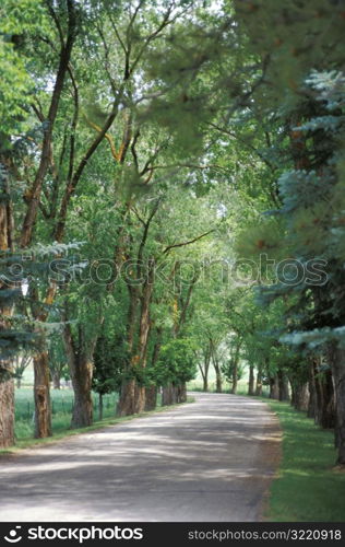 Pleasant Country Road