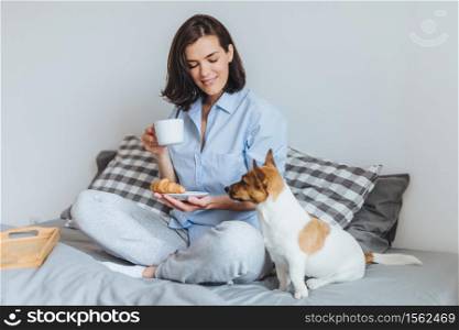 Pleasant looking smiling female model in pyjamas has breakfast in bed, enjoys spare time and good morning, looks at her favourite dog, going to have walk outside. People, rest, home concept.