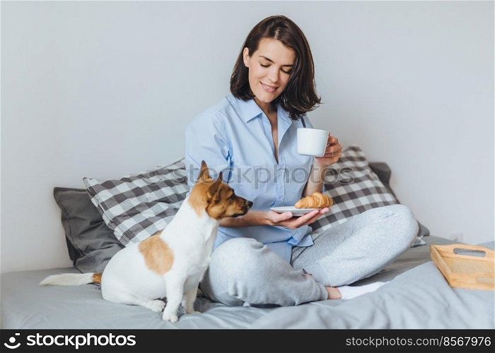 Pleasant looking smiling female model in pyjamas has breakfast in bed, enjoys spare time and good morning, looks at her favourite dog, going to have walk outside. People, rest, home concept.