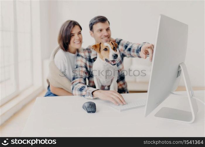 Pleased young woman and man watch computer content, point into screen of monitor, watch funny video, focus on dog, pose at white desktop, search movie on website, develop new startup project