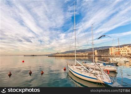 Pleasure boats moored in harbor in sunny day. Trieste Italy