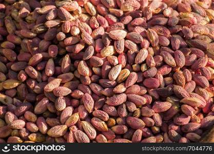 Plenty of Cleared Pistachio ready to eat