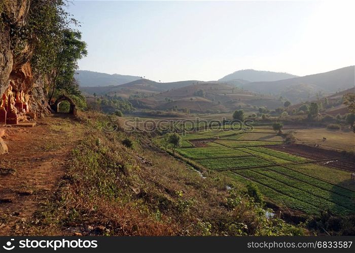 Plots on fields in the mountains of Myanmar