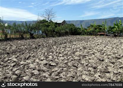 Plough farm field on the Samosir island, Indonesia