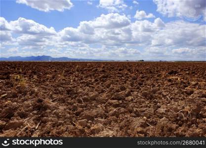 plough plowed brown clay soil field blue sky horizon