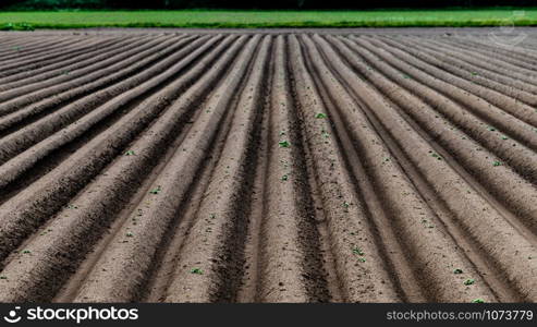 Ploughed field, springtime agricultural background