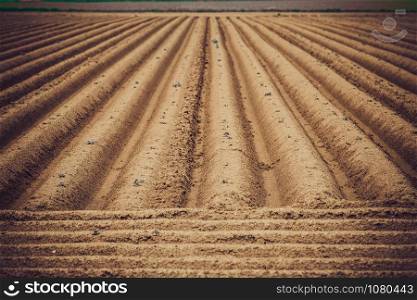 Ploughed field, springtime agricultural background