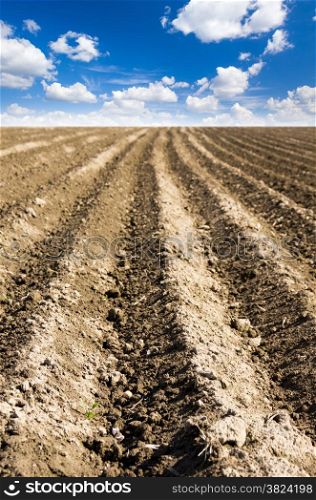 ploughed field with sky