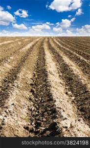 ploughed field with sky