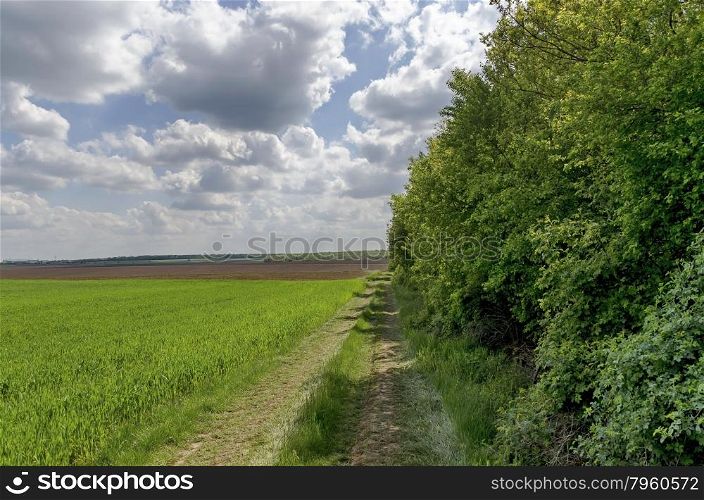 Ploughing field and dirt road