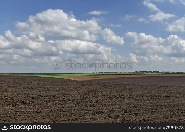 Ploughing field in spring