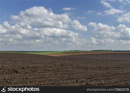 Ploughing field in spring