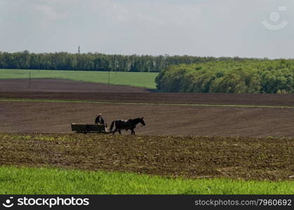 Ploughing field in spring and cart
