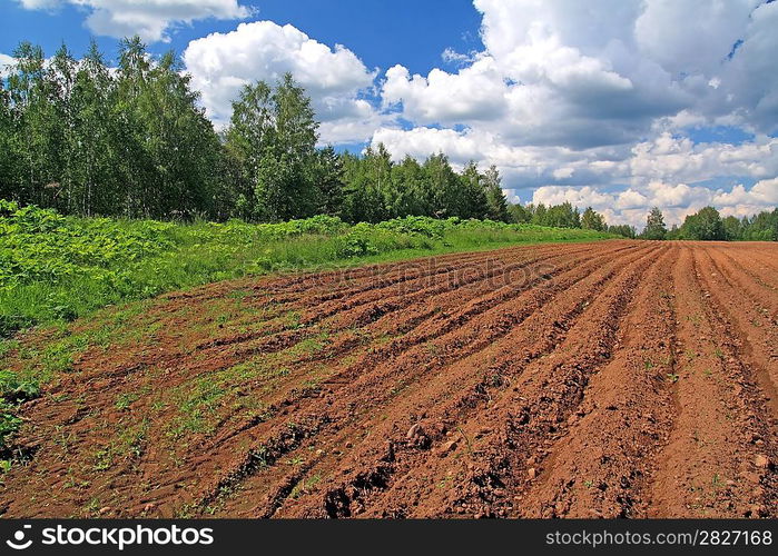 plow field