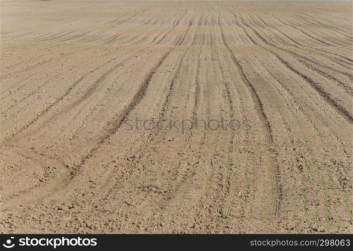 Plowed farm field background on sunny day