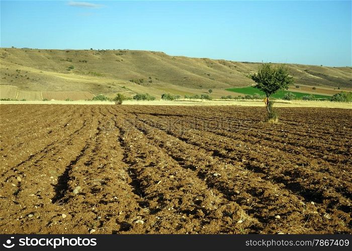Plowed farmland and trees, Turkey