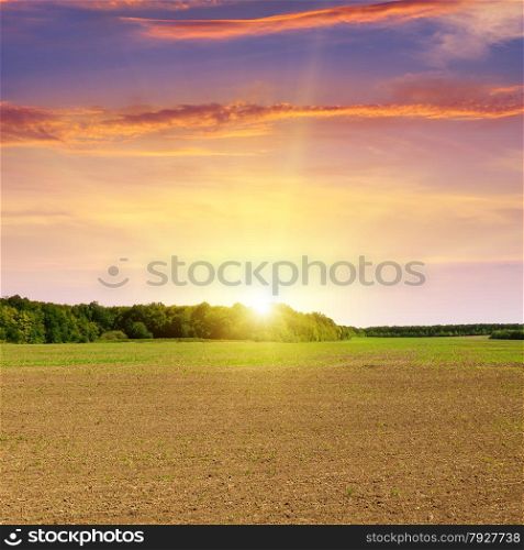 plowed field and beautiful sunset