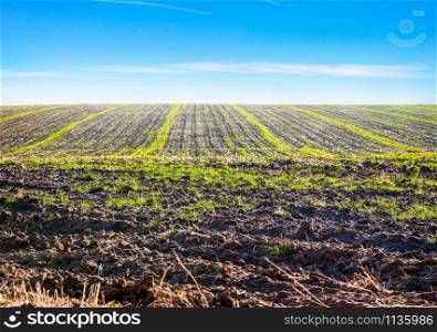 Plowed field and blue sky in countryside. Plowed field and blue sky