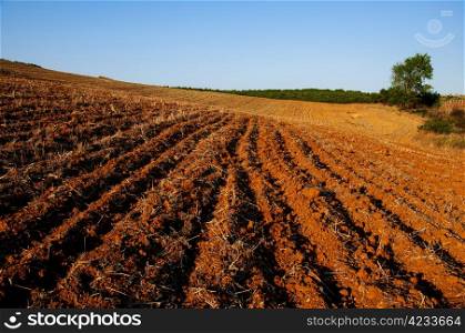 plowed field background