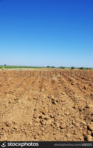 Plowed field for Planting Vines in Portugal