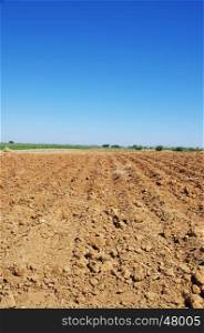 Plowed field for Planting Vines in Portugal