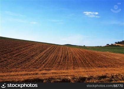 Plowed field in rural landscape