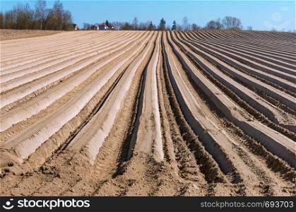 plowed field in spring, smooth furrows of agricultural land. smooth furrows of agricultural land, plowed field in spring