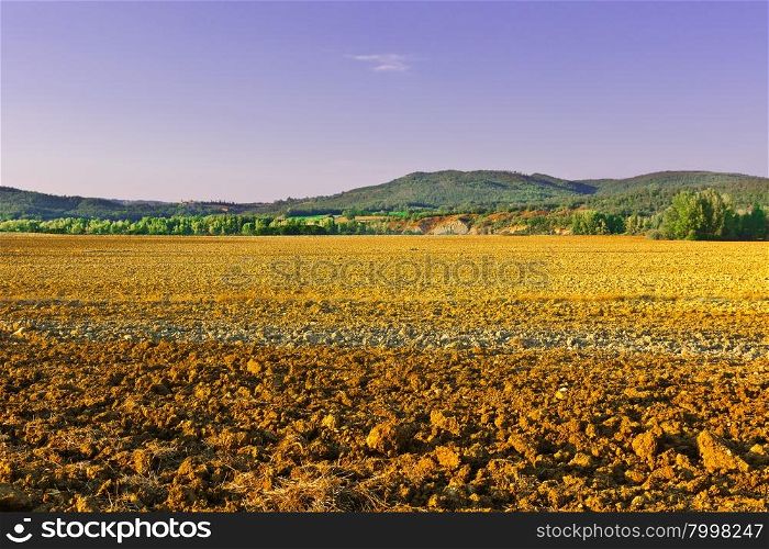 Plowed Field of Tuscany in the Autumn at Sunset