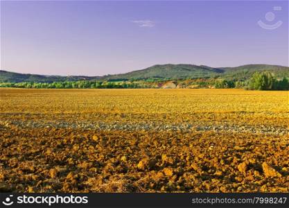 Plowed Field of Tuscany in the Autumn at Sunset