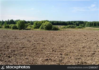 Plowed field on green trees background, sunny day