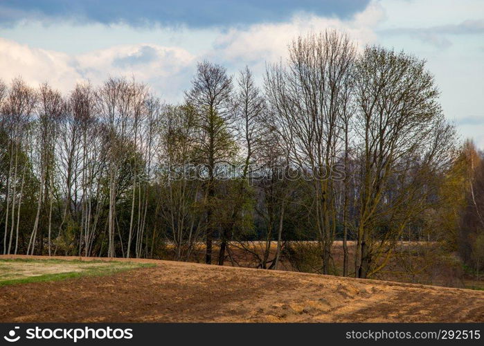 Plowed field with trees on the back, against a blue sky. Spring landscape with cornfield, wood and cloudy blue sky. Classic rural landscape in Latvia.