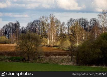 Plowed field with trees on the back, against a blue sky. Spring landscape with cornfield, wood and cloudy blue sky. Classic rural landscape in Latvia.