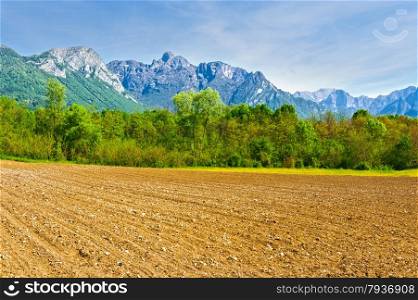 Plowed Fields in the Foothills of the Italian Alps
